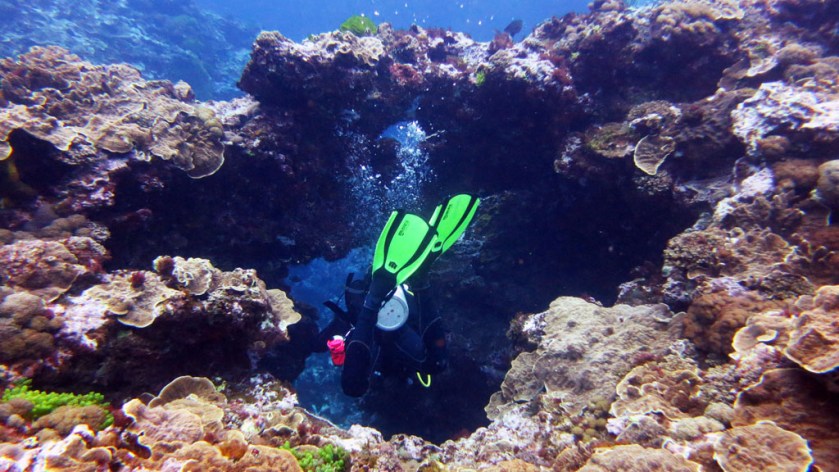 DAN destination blog Lord Howe Island an adventure playground for scuba divers