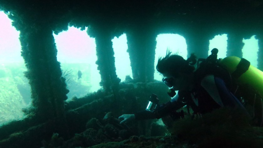 Wreck Diving Safety DAN AP Ex HMAS Adelaide at Terrigal NSW Australia Diveplanit