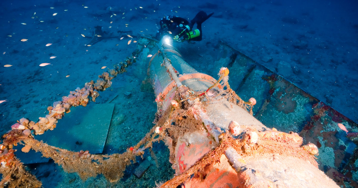 Human Factors Skills in Diving Course, hosted by DAN AP, 29-30&nbsp;November