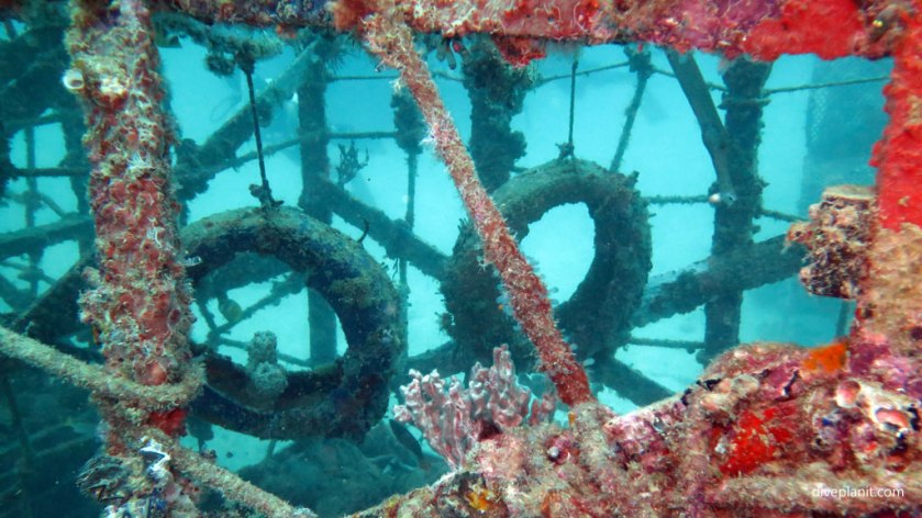 Great playpen for an orang utan at Kapalai House Reef diving Mabul Sabah Malaysia by Diveplanit